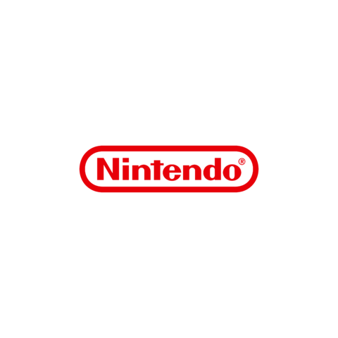 Nintendo reparatie