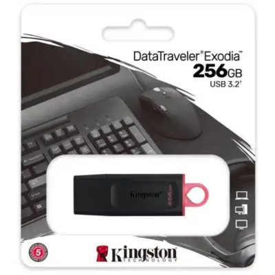 Kingston USB Stick, 256 GB